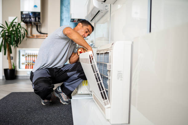 Best Air Duct Mold Removal  in Pearsall, TX